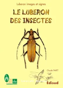 Le Luberon des insectes