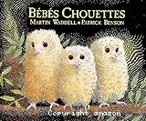 Bébés chouettes