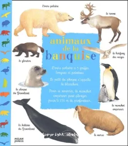 Animaux de la banquise