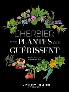 L'herbier des plantes qui guérissent