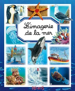 L' imagerie de la mer