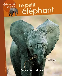 Le petit éléphant