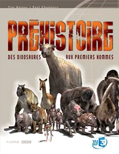 Préhistoire