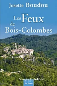 Les feux de Bois-Colombes