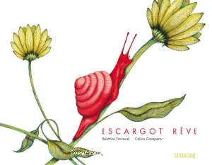 Escargot rêve