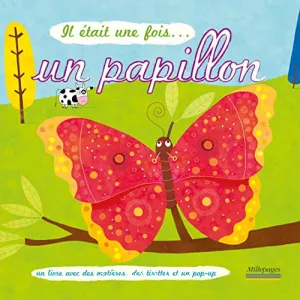 Un papillon