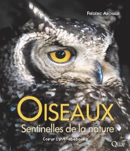 Oiseaux