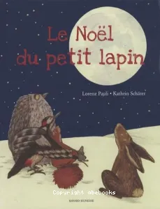 Le Noël du petit lapin