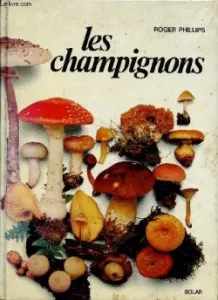 les champignons