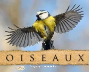 Oiseaux