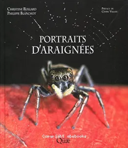 Portraits d'araignées