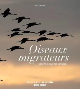 Oiseaux migrateurs